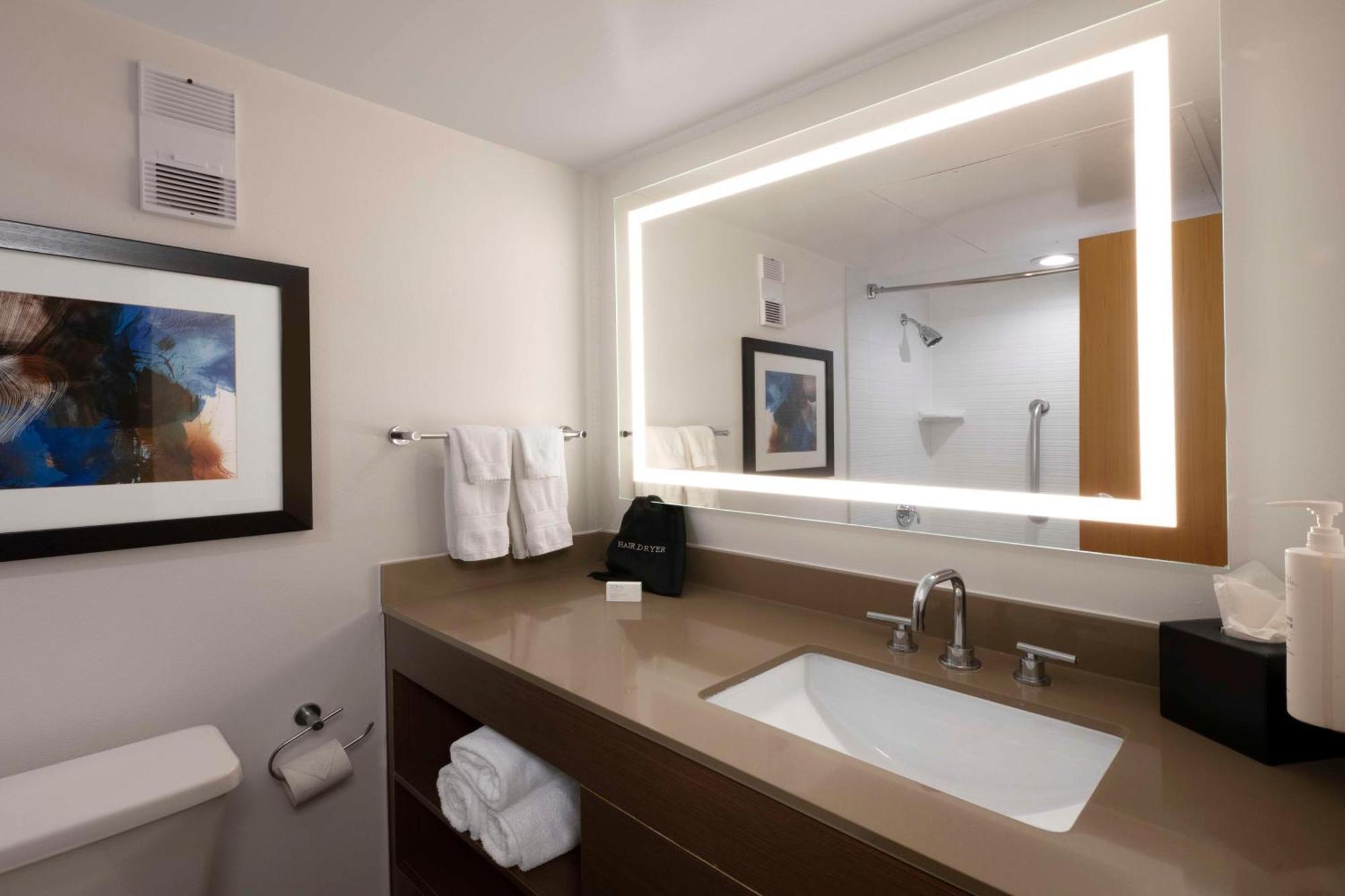 Embassy Suites Dallas - Dfw International Airport South Irving Eksteriør billede